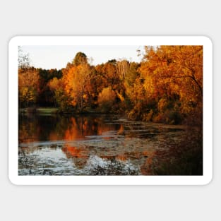 Fall Trees Lake Landscape Sticker